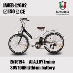 lithium battery electric bicycle Low price LWEB--L2602