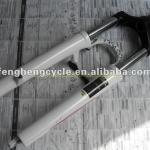 Newest Style Titanium bicycle fork
