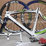 Pinarello dogma 65.1 think2 carbon frame ,China/Chinese carbon bike frame ! 028