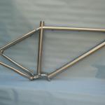Pinion P1.18 Gearbox frame with Titanium bicycle WTJ-Pinion