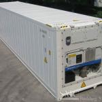 Reefer Containers for Sale (20ft &amp; 40ft Standard Reefer Container For Sale, New Only)