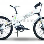 Seagull GL -electric bicycle designed by ourselves