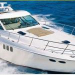 Searay 60 Sundancer Cabin Cruiser