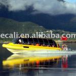 Sightseeing Boat/Passenger boat/Water taxi CZ980
