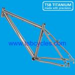 TSB-MBM1102 titanium OEM mtb frame TSB-MBM1102