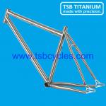 TSB-STM0901 OEM mountain bicycle frame TSB-STM0901