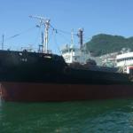 Used Refrigerated Carrier Ship