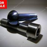 Titanium Bolt DIN84 GR2 GR5 for Bicycle