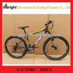 2013 hot selling 26&quot; steel Mountain bike with competitive price 21 speed-BRT-M031