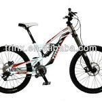 High quality full suspension mountain bikes for sale--DH-2 (titan)