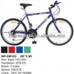 China cheap mountain bike