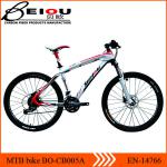 BEIOU oem mountain carbon bike