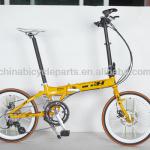 X-TASY Fashionable 18Speed China Folding Bike 3H-L7180