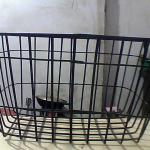 black steel basket for E-bike and bicycle-HNJ-BB-095