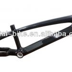 20er BMX Bike Carbon Frame with Fork-