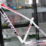 LIGHTCARBON DS069 29er dual suspension mountain bike Chinese carbon bike frame-04 29ER