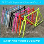 Cr-Mo Multicolor Frame BORITA R0 / Single speed bike frame-R0