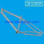 TSB-ZJS0901 customized titanium beach cruiser bike frame