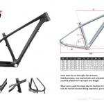 2013 new 29er MTB Carbon bike frame, 29er bicycle frame-Orion