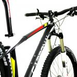 2012 Hot sale!!! NEW Complete Carbon 29er Bike - Carbonal AVENGER