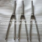 Titanium Bicycle Fork for Road Frame with Sandblasted Words on the Fork Leg and Disc Brake Only
