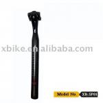 Carbon Bicycle Seat Post