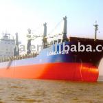 320000DWT Cargo Ship-32000DWT