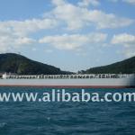 6500DWT BOTH HOPPER AND HOLD BARGE-