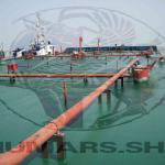 flat barge 5000dwt for sale in iran-