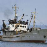 Middle Size trawler - reefer GRIGOLETI-