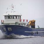 25.6 METERS SERVICE VESSEL- 2011 BUILT