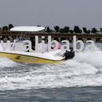 Fiberglass boat E625