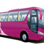 city bus/coach/vehicle-