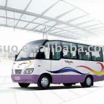 eec electric bus-TESUO