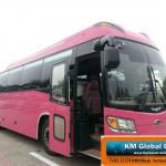 2008Year Dec Kia New Granbird 47Seats Bus Red Color