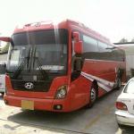 HYUNDAI UNIVERSE bus-
