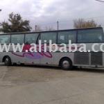 Bus-