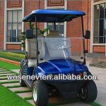 Luxury 2 seater electric golf car with good quality