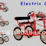 Electric Passenger Cart-