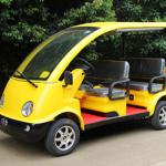 High quality electric resort car with used in resort place and real estate-WS-MX4