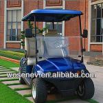 Luxury 2 seater electric club car with good quality-WS-GLR2