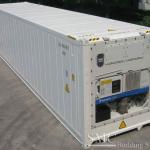 Reefer Containers for Sale (20ft &amp; 40ft Standard Reefer Container For Sale, New Only)-