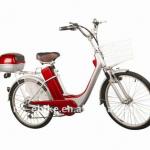 steel electric bike