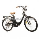 250W steel electric bike with lead acid vpbattery