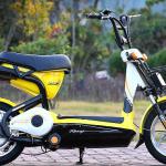 2014 new 25-35km/h 350W electric bike with pedal-ZX-EB05