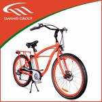 Beach Electric bike CE certification LMTDF-07L