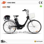 Electric Bike With Lead-acid Battery