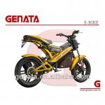 EEC Folding Electric Bicycle