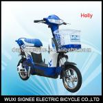 Holly: cute e-bike-TDT11207Z