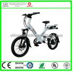 500W or 250W En15194 electric bicycle